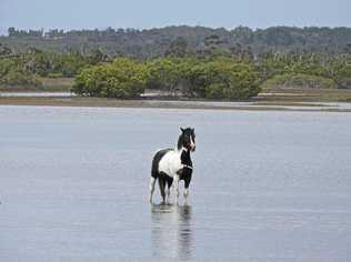 Cooling off at Lake Cakora.