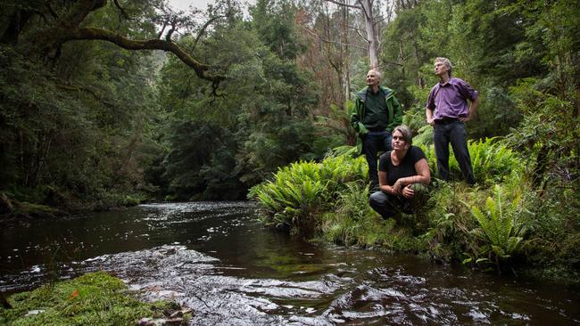 Geoff Law consultant for the Wilderness Society, Jenny Weber of the Bob Brown Foundation, and Charlie Sherwin CEO of Environment Tasmania at the Styx River inside the Tasmanian Wilderness World Heritage Area. Picture: Peter Mathew