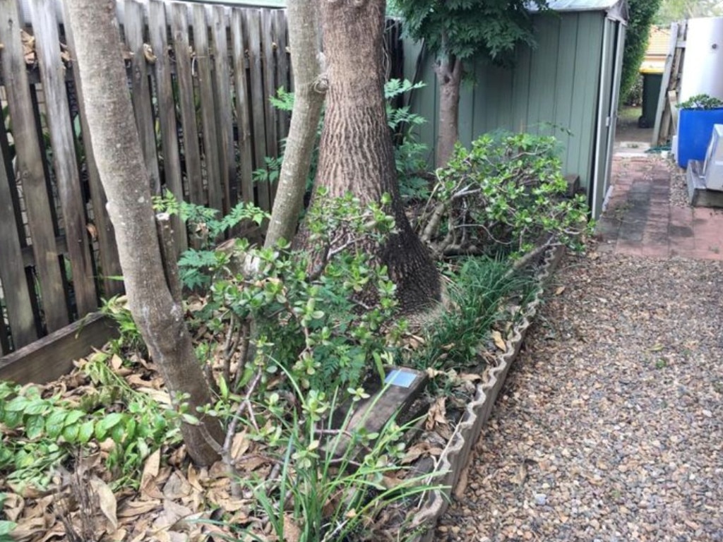 Can you spot the snake in this backyard? Picture: Snake Catchers Brisbane &amp; Gold Coast / Facebook