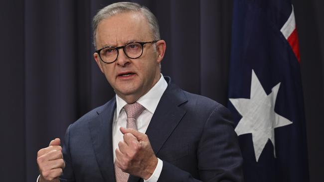 Albanese is right, there is a role for government, but it is more to clear the investment hurdles than handouts. Picture: NCA NewsWire / Martin Ollman