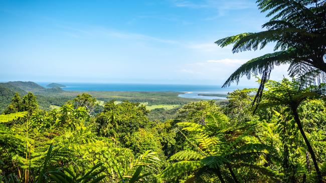 Daintree National Park will get a microgrid after a $19.3m Federal Government package.