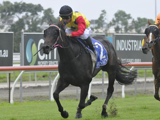 John Morrisey-trained Gorada (jockey Shannon Doyle) wins Shootout Memorial Class 2 Handicap (1800m) at Gold Coast on Saturday, January 21, 2017. Photo:Jessica Hawkins/Trackside Photography