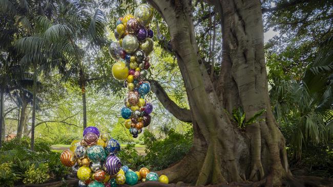 Dale Chihuly Polyvitro Chandelier, 2006 Adelaide Botanic Garden. Picture: Nathaniel Willson.