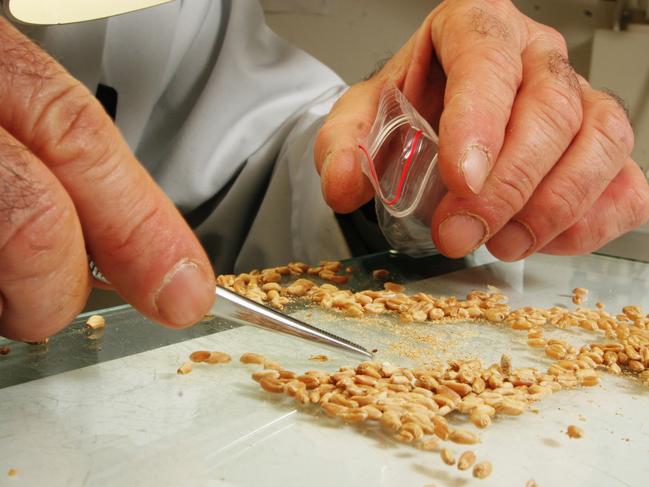 Grain and seed research company’s new lab approved