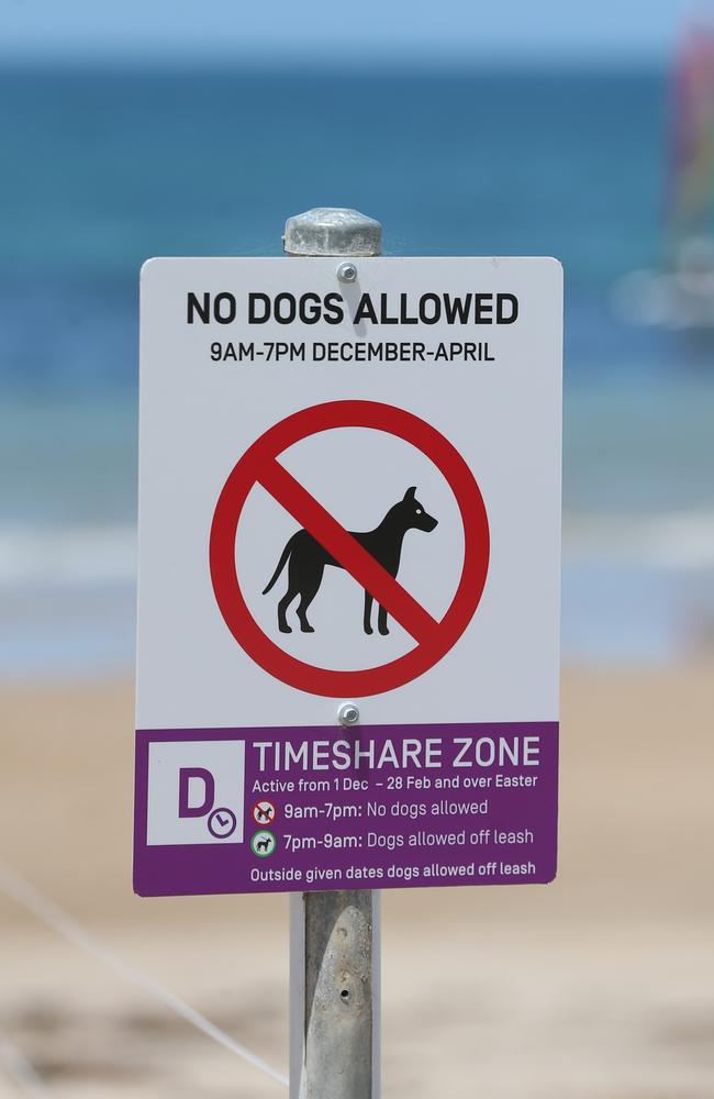 Dog restrictions have come into effect at Fishermans Beach in Torquay. Picture: Alan Barber