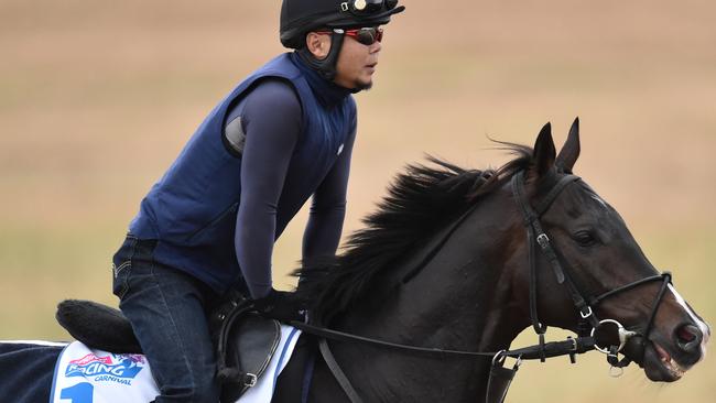 Fame Game is a firm favourite for the Melbourne Cup.