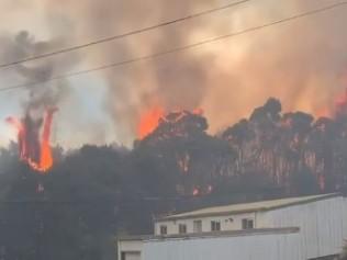 Bushfire blazes through Tasmanian town