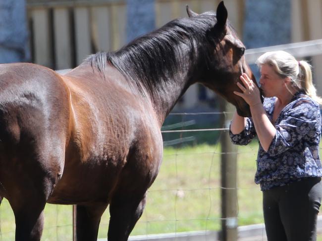 Julene Thorburn with one of her horses at her property in Chambers Flat on Friday. Pictures: Jack Tran