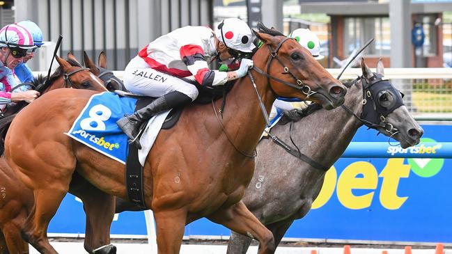 Superconstellation was the first winner on the new Caulfield Heath track. Picture: Pat Scala/Racing Photos via Getty Images