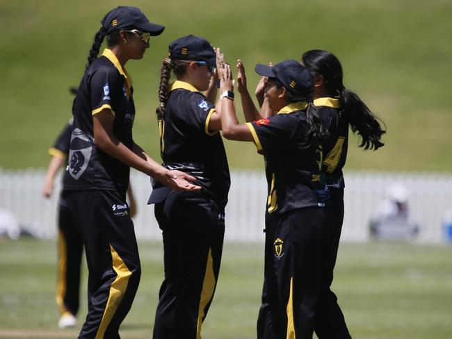 Blacktown celebrate a Slayers wicket. Picture Warren Gannon Photography