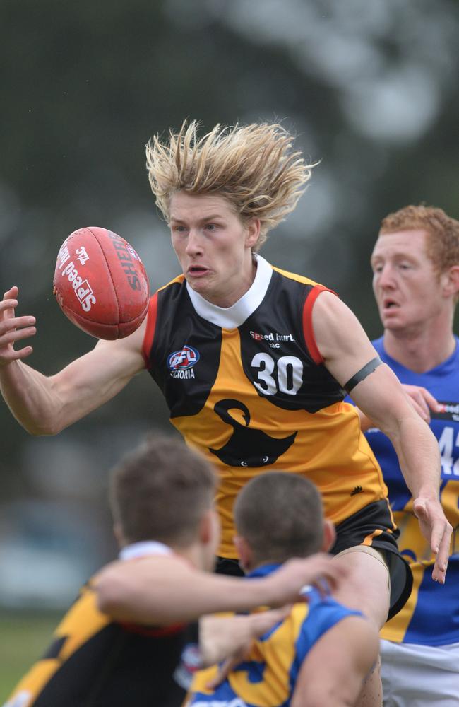 Tom Lamb playing for Dandenong Stingrays.