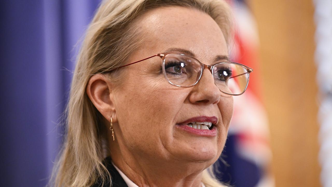 ‘Back to basics’: Senior Lib’s call on new leader