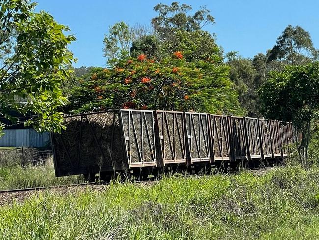 The scene of the cane train derailment on Webb St, Sarina, on Wednesday, December 8, 2022. Picture: ANDREW KACIMAIWAI