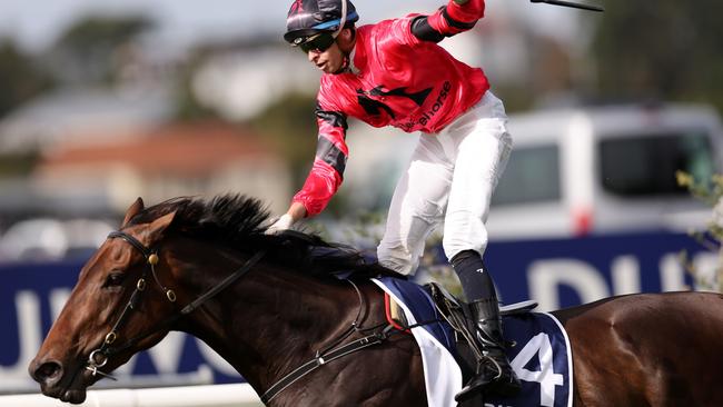 Willydoit is aiming to become the second horse this century to win the Australian Derby. Picture: Phil Walter/Getty Images