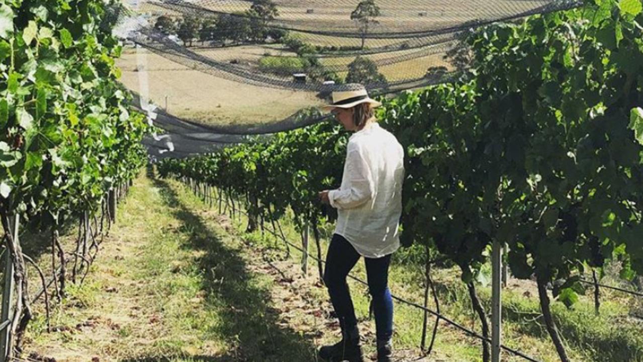 Wandering among the vines at Pooley Wines in Tasmania.