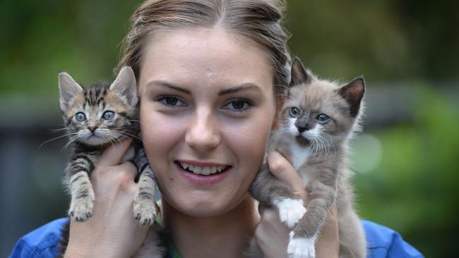 Kate Bayliss with some of the kittens she has cared for from only a few days old.