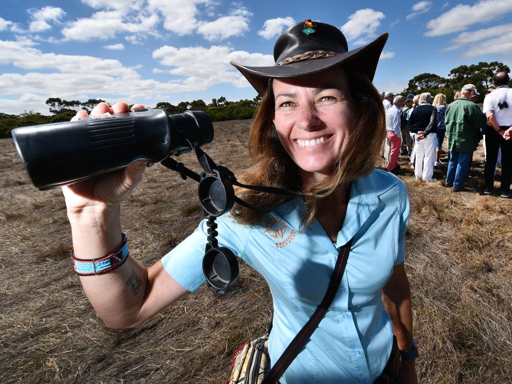 Echidna Walkabout co-founder Janine Duffy says supporting koalas who survived the bushfires is a way of ensuring they repopulate devastated areas. Picture: Nigel Hallett