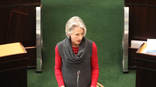 Greens MP Rosalie Woodruff speaks in the Tasmanian parliament.