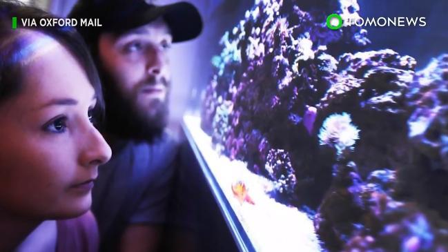 Man cleaning fish tank unwittingly poisons his family