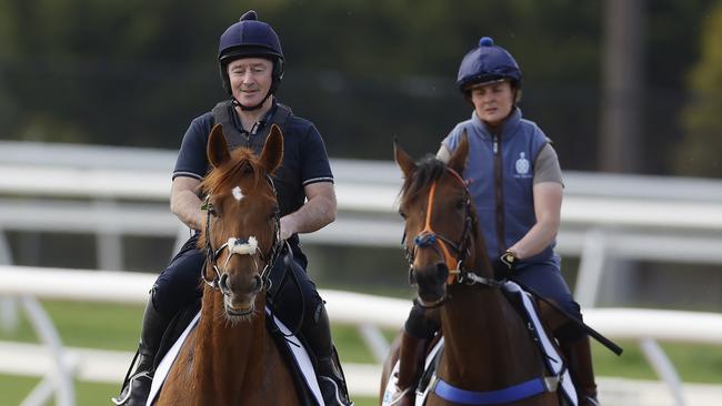 NCA. MELBOURNE, AUSTRALIA. October 14 , 2024. RACING.  Werribee track work . Willie Mullins pair Vauban ridden by Dean Gallagher and Absurde ridden by Emilie Siegle during this mornings work    .  Pic : Michael Klein