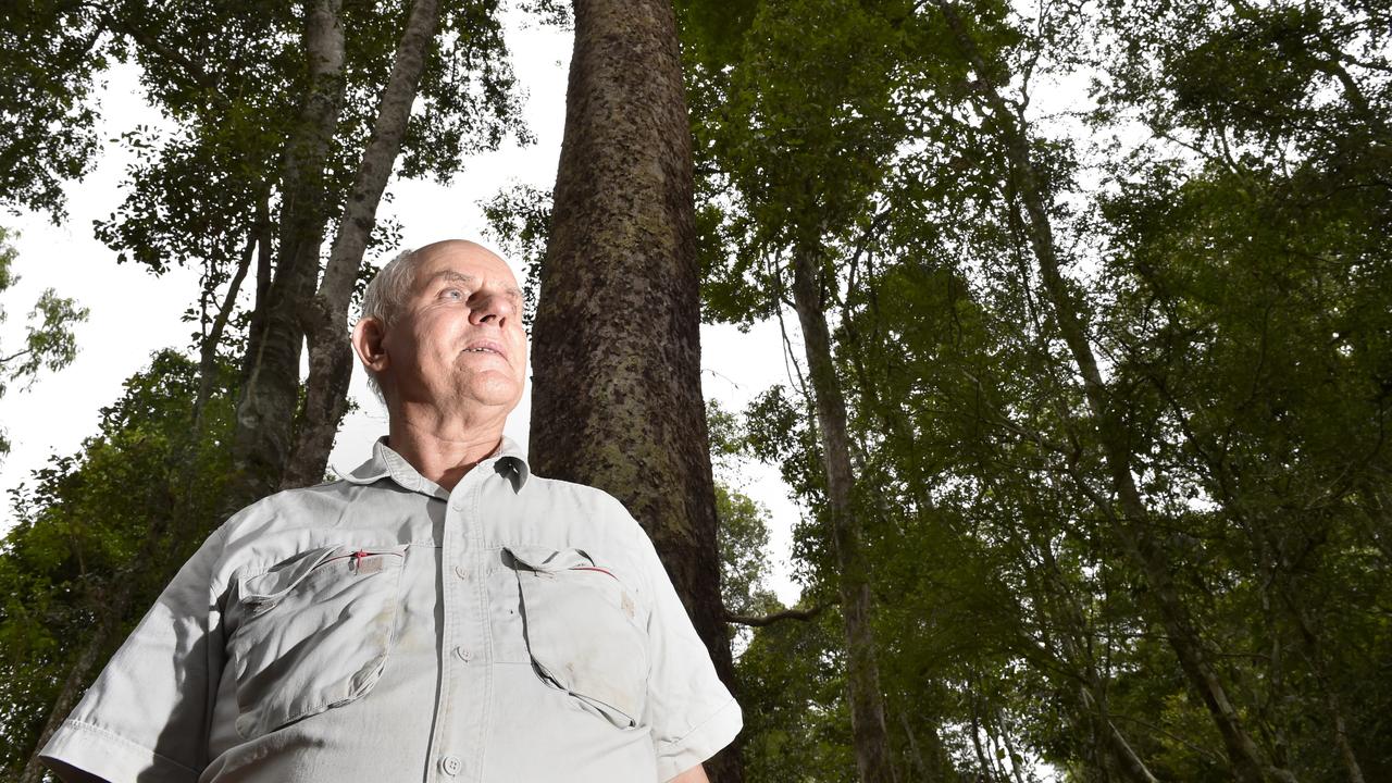 Hugh Krenske, President of Friends of the Escarpment Parks Toowoomba Inc in Redwood Park.