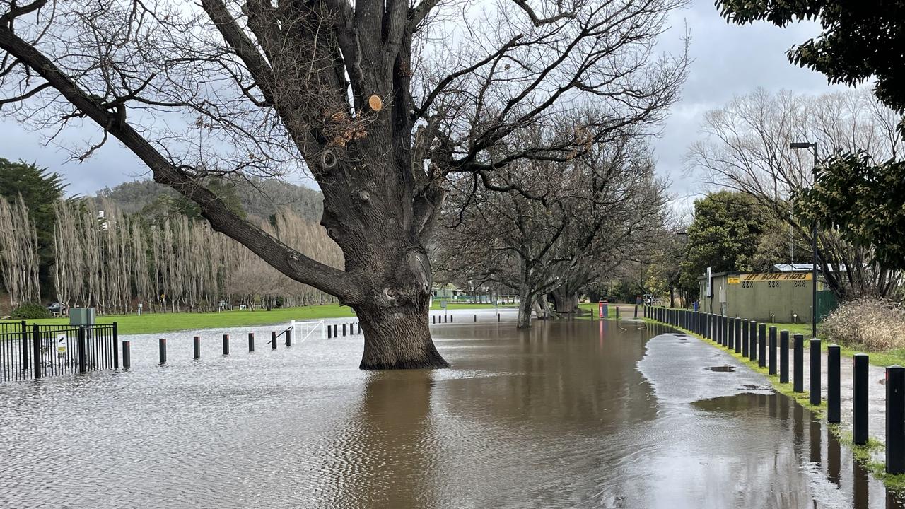 Flooding along New Norfolk's Esplanade. Picture: Genevieve Holding