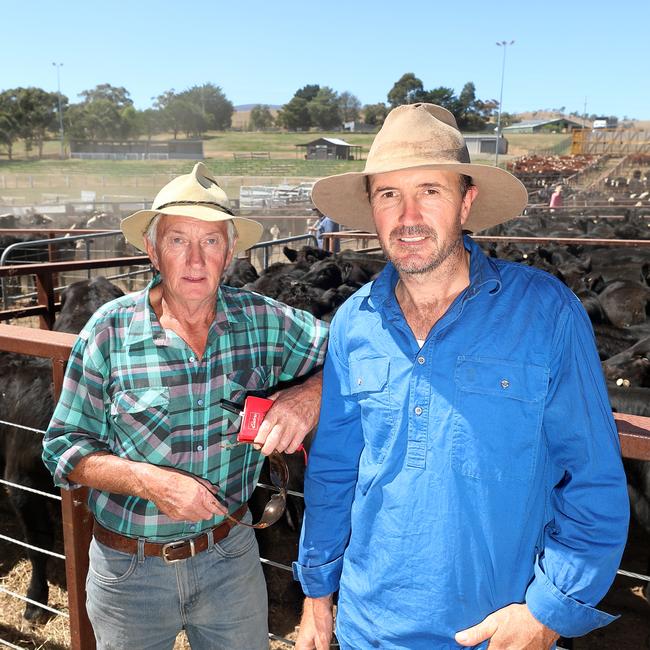 Allan and Robert Sheean had the top price of $1700 at the Omeo Angus sale.