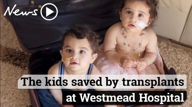 Incredible month of transplant successes at Westmead