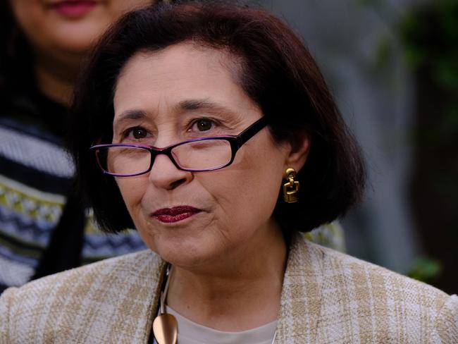 Energy Minister Lily D’Ambrosio has estimated the cost of all upgrades for landlords to be around $5000. Picture: Luis Enrique Ascu