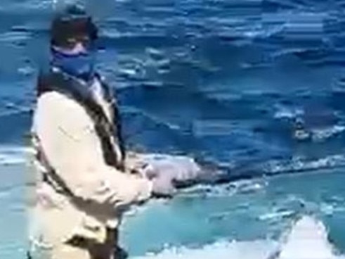 Witnesses were slammed for their reaction to the shark attack.