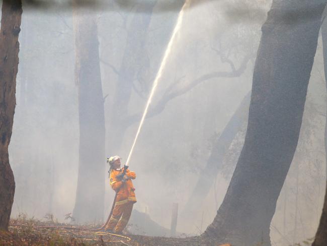 Firefighter in action near East Lynne on Tuesday afternoon. Picture Gary Ramage