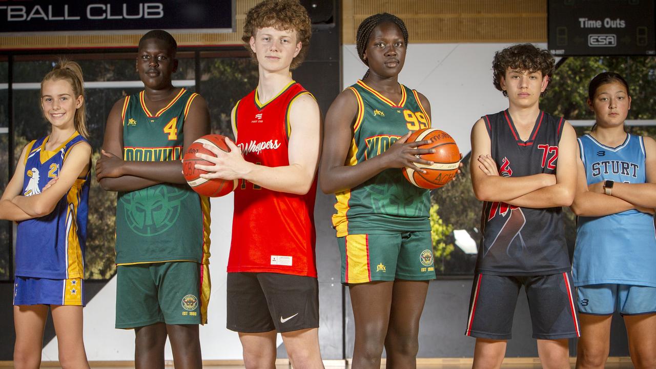 Basketball Local Basketball Live Stream The Cairns Post