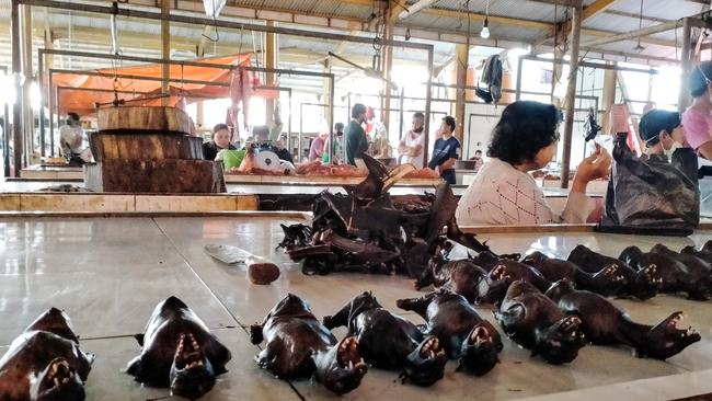 Tomohon exotic wildlife market in Sulawesi, Indonesia. Picture: Agung Maupa