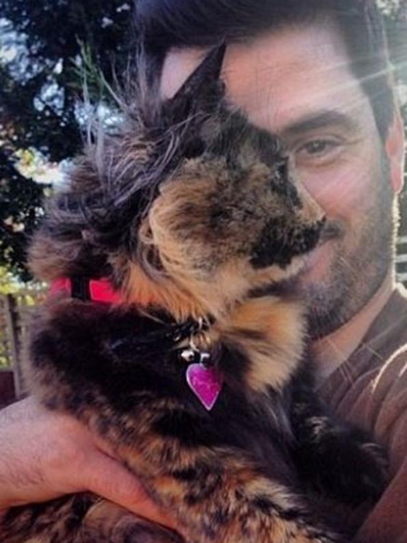 Hot men with cats on Instagram