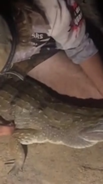 Fisherman in Queensland's north accidentally snags crocodile on lure