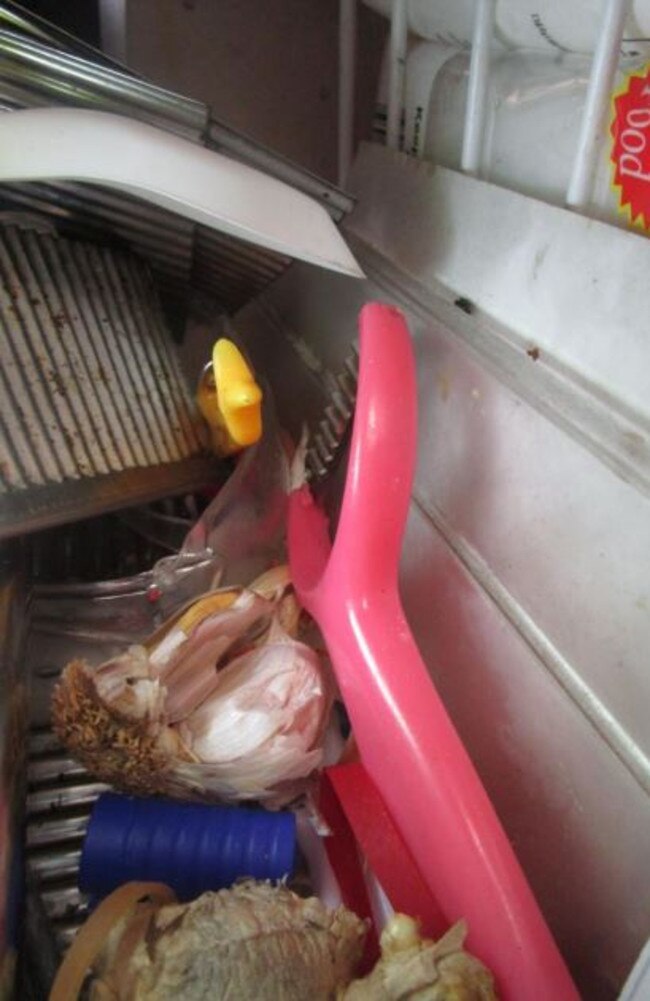 Ginger and garlic was found stored with utensils and a rubber band. Picture: Brisbane City Council