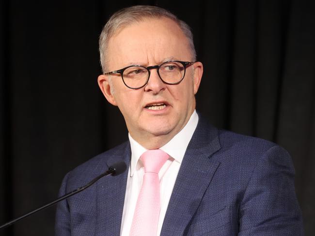 Anthony Albanese is no statesman. Picture: Tim Hunter