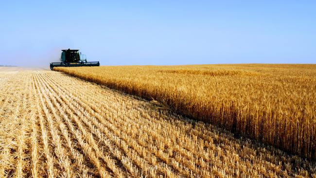 Combine harvesting at field.