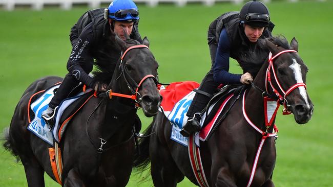 Japanese raiders Kluger and Lys Gracieux will spearhead the international attack in the Cox Plate. Picture: AAP