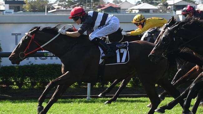 Catseye Surprise backed up her good form on the track with a strong win at Doomben on Saturday. Picture: Grant Peters