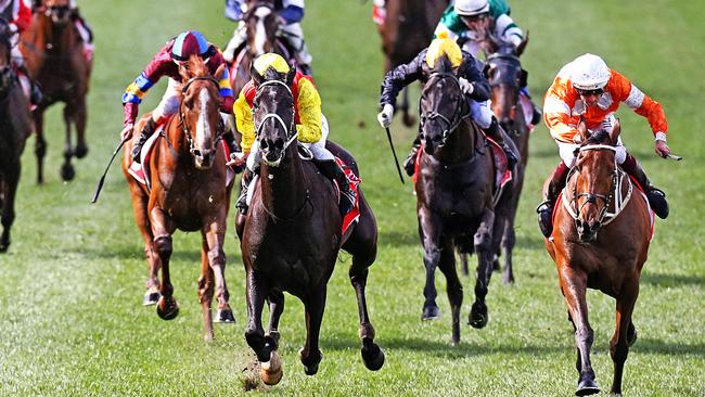 Grand Marshal overhauls stablemate Who Shot Thebarman (right) to win the Moonee Valley Cup. Picture: Tim Carrafa