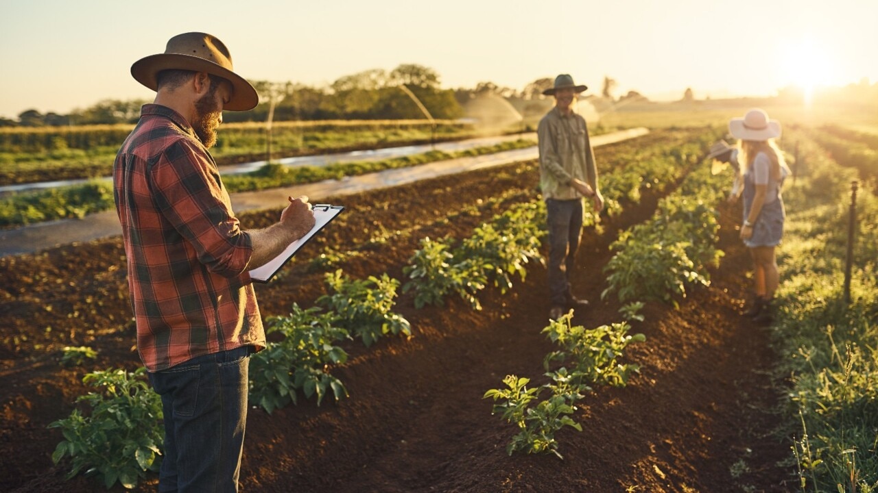 Agricultural sector can reach net zero emissions while increasing productivity