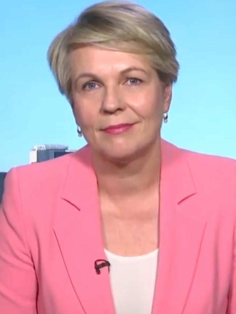 He clashed with Tanya Plibersek. Picture: Sunrise/Channel 7