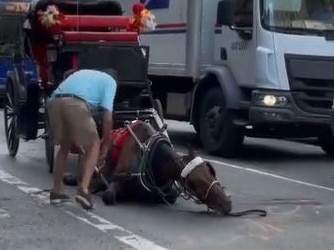 A NYC carriage horse collapsed in Hell's Kitchen on Wednesday. Picture: Twitter