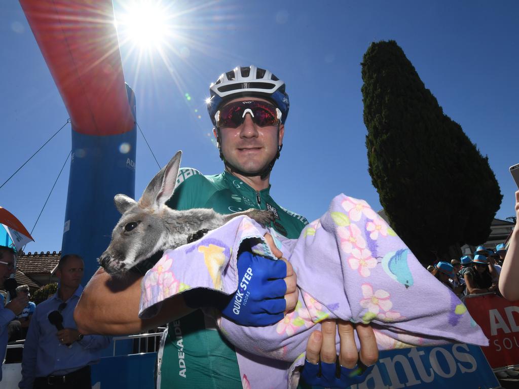 Italian rider Elia Viviani of team Quick-Step holds a kangaroo joey before stage two of the Tour Down Under from Unley to Stirling, Picture: (AAP / Dan Peled