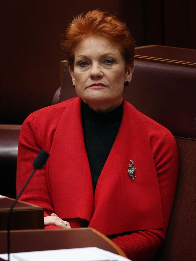 Senator Pauline Hanson accused her crossbench Senate colleagues of bullying her. Picture: Gary Ramage