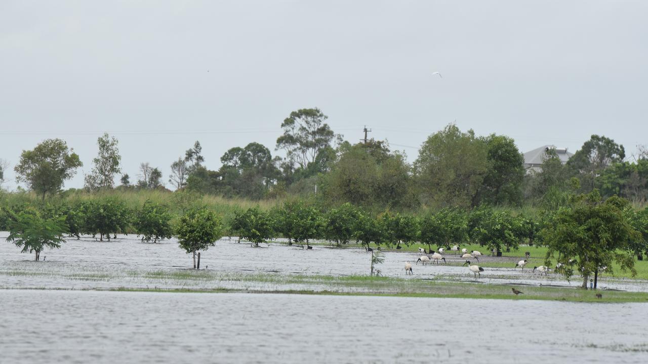 Heavy rain thanks to Cyclone Debbie caused flash flooding across the Bundaberg region on March 29, 2017.