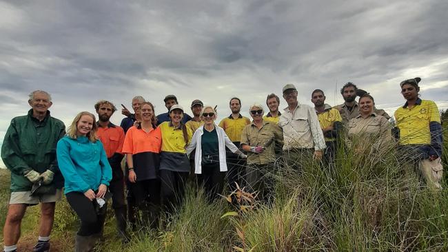 Bangalow Koalas Inc plants their 100,000th tree .