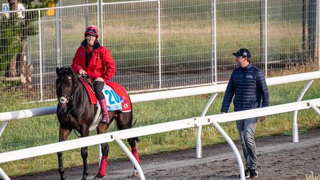 International horses at Werribee Trackwork ahead of the 2019 Melbourne Cup. Picture: Jason Edwards