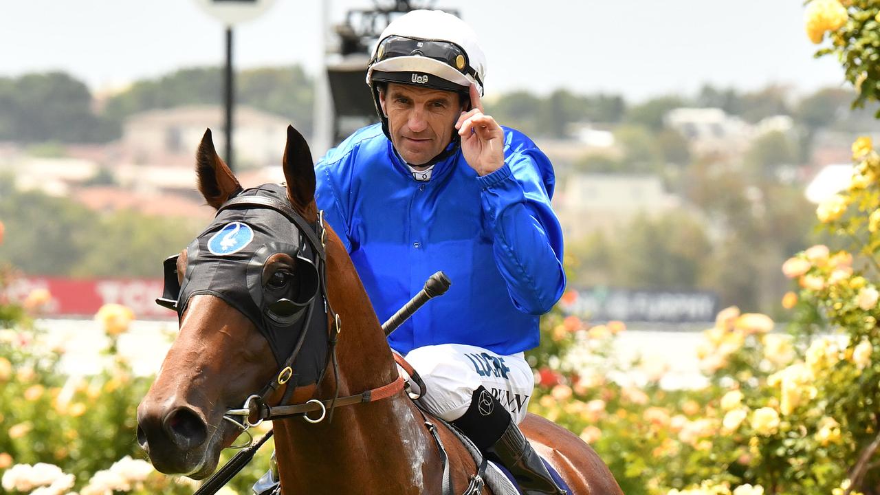 Dwayne Dunn is hoping Microphone stays in Melbourne for the Blue Diamond. Picture: AAP 